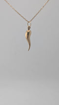 10K Yellow Gold Italian Horn Pendant (Cornicello)