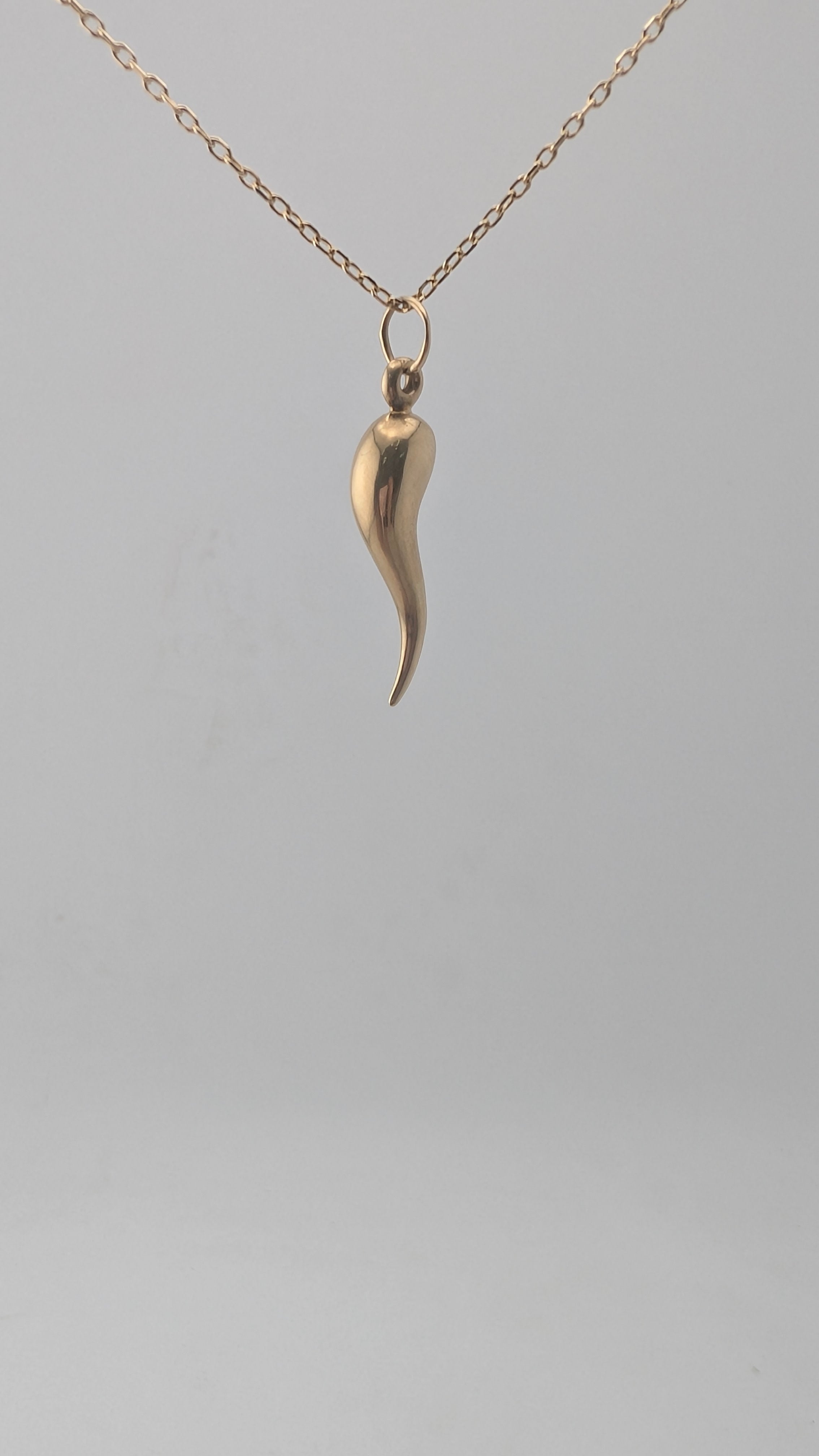 10K Yellow Gold Italian Horn Pendant (Cornicello)