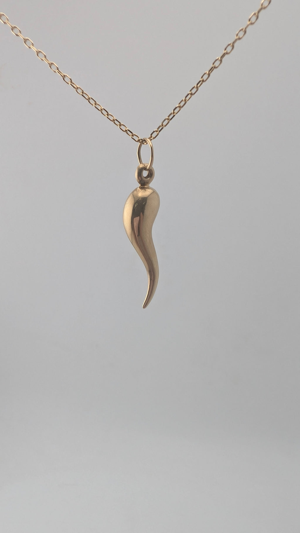 10K Yellow Gold Italian Horn Pendant (Cornicello)
