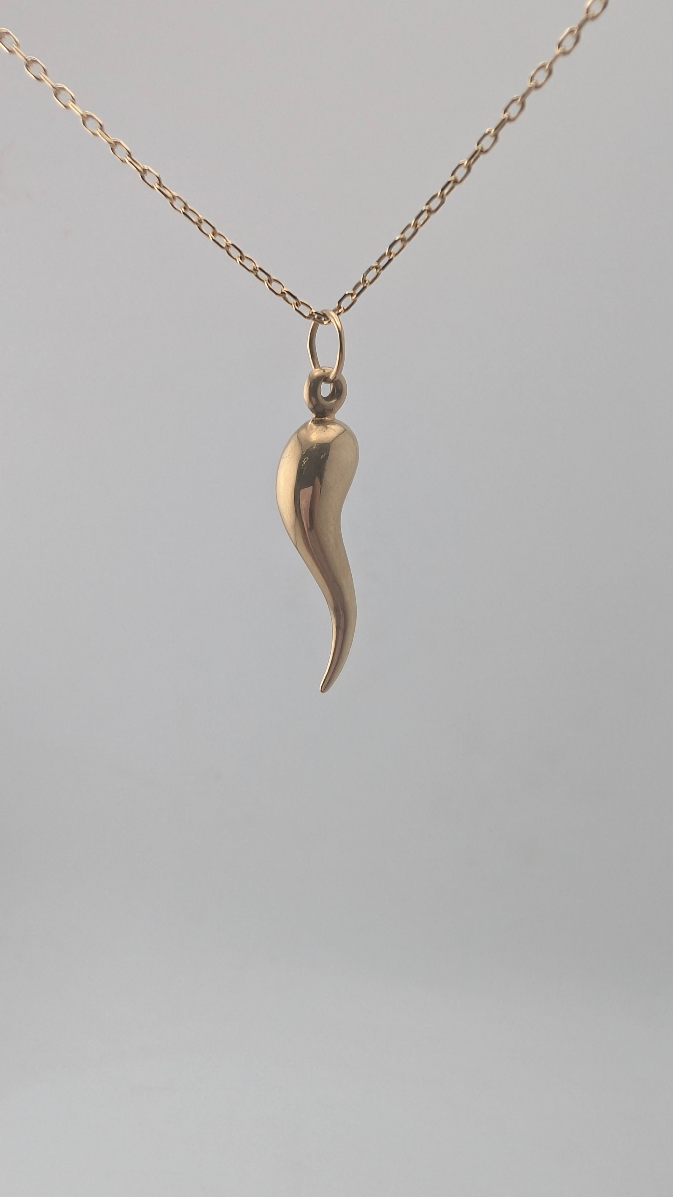 10K Yellow Gold Italian Horn Pendant (Cornicello)