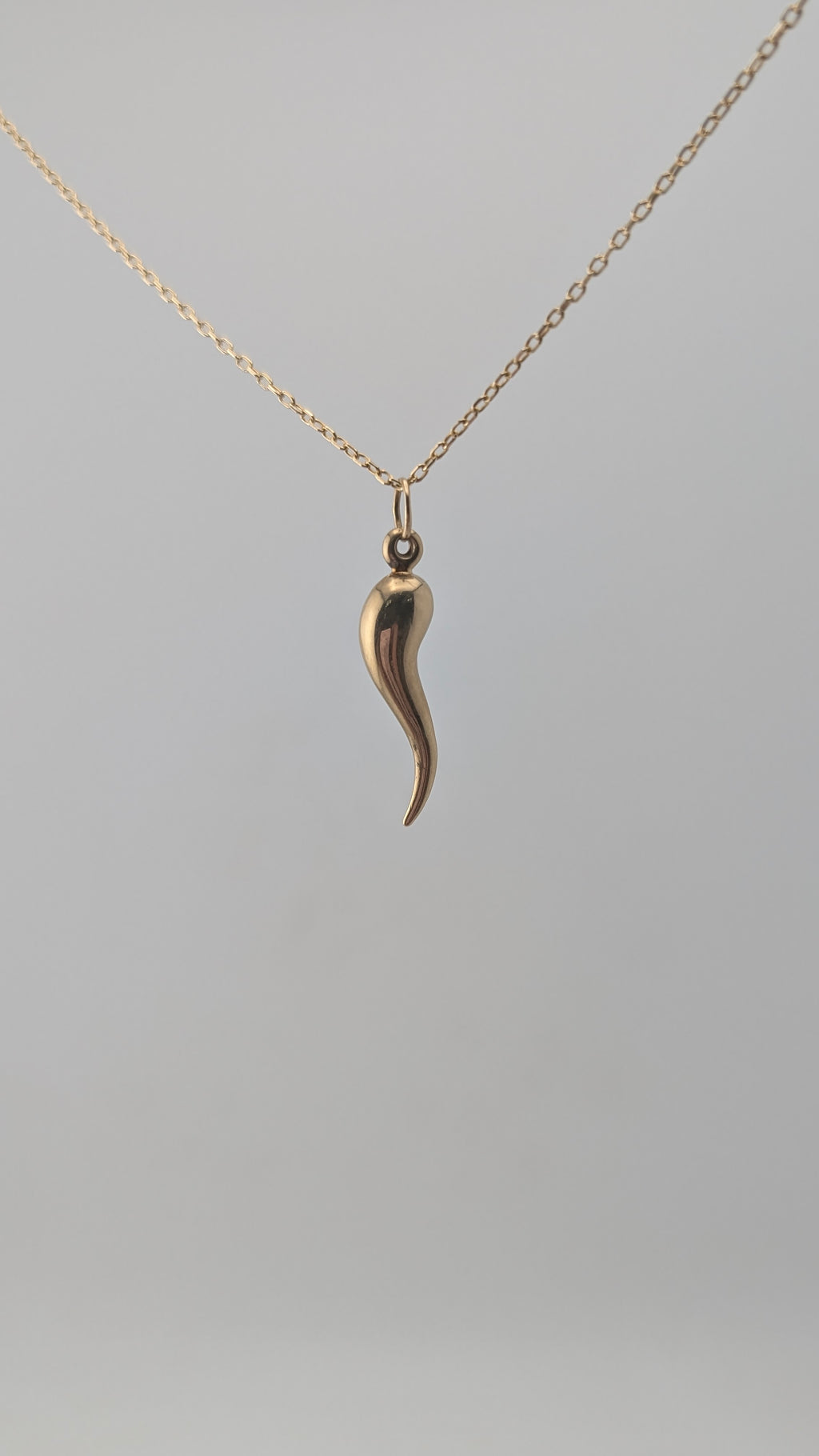 10K Yellow Gold Italian Horn Pendant (Cornicello)