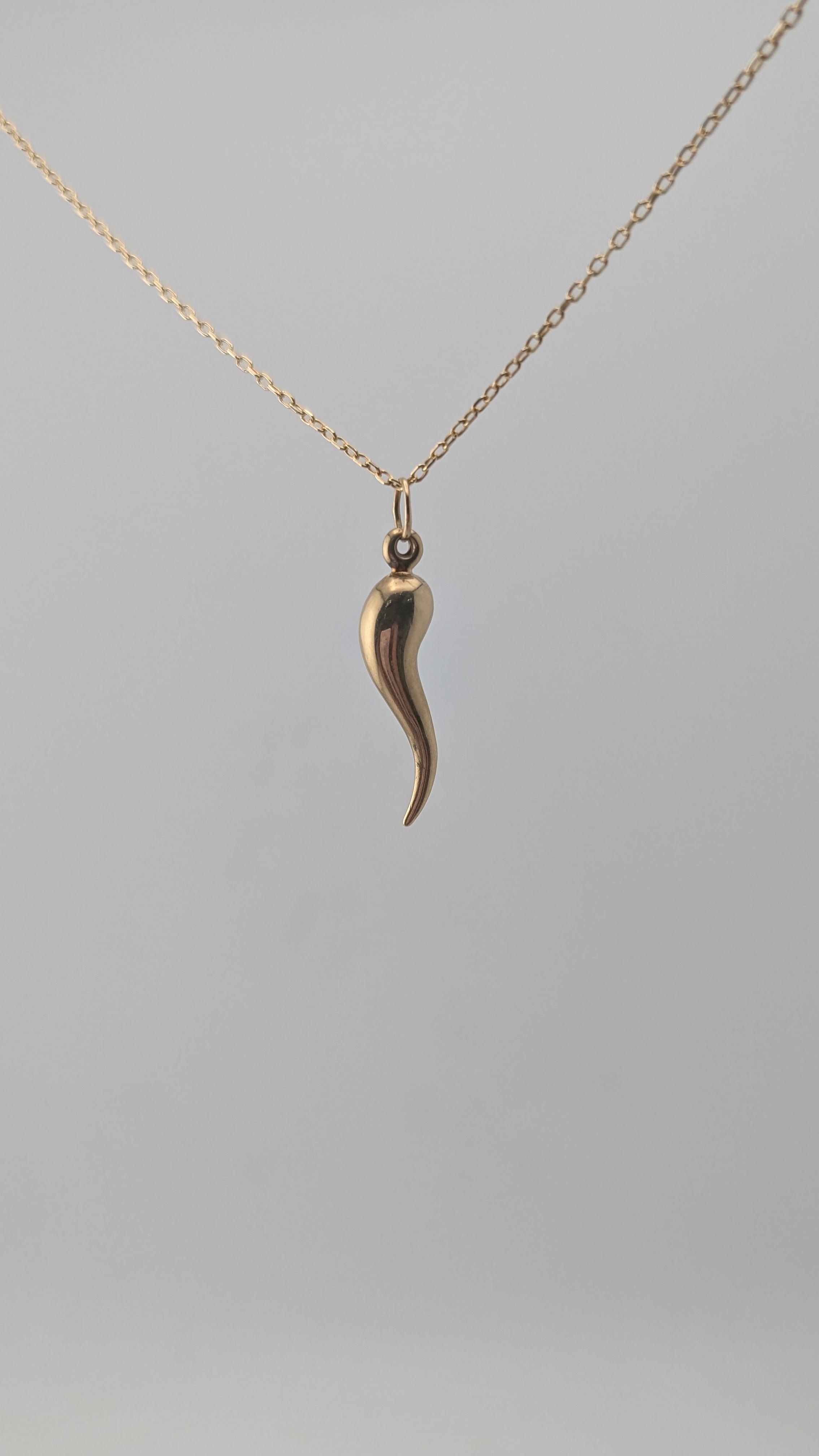 10K Yellow Gold Italian Horn Pendant (Cornicello)