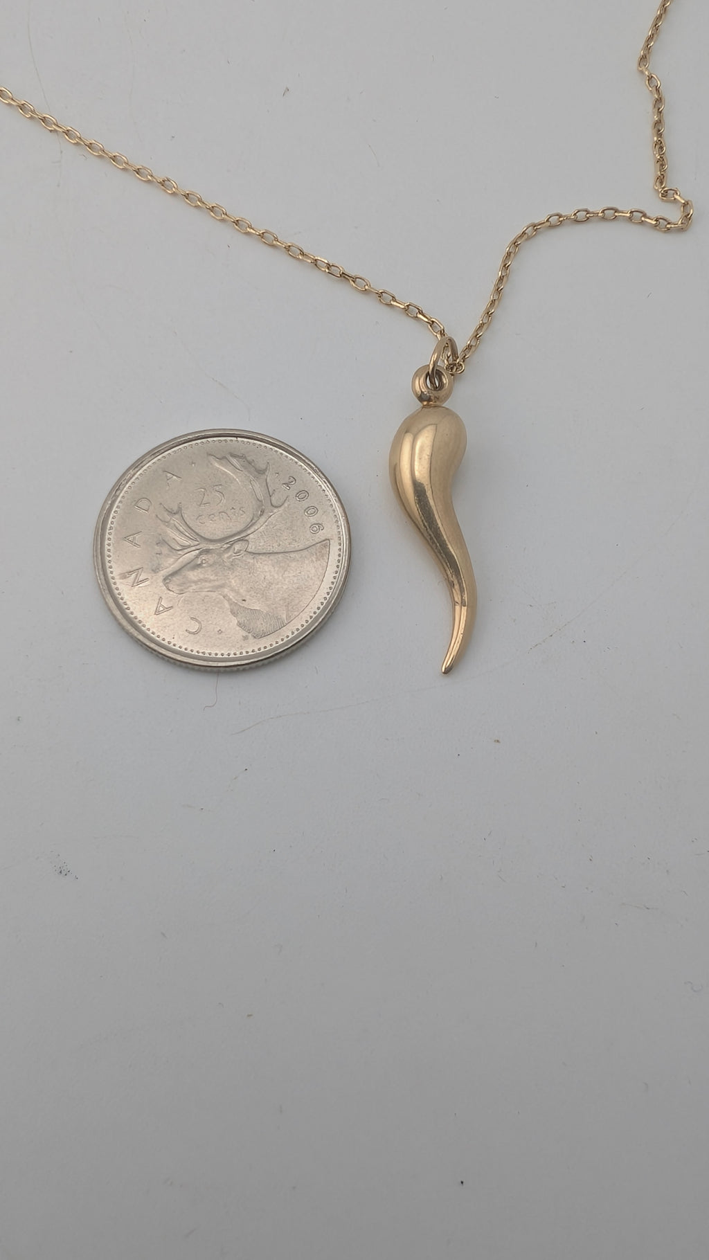 10K Yellow Gold Italian Horn Pendant (Cornicello)