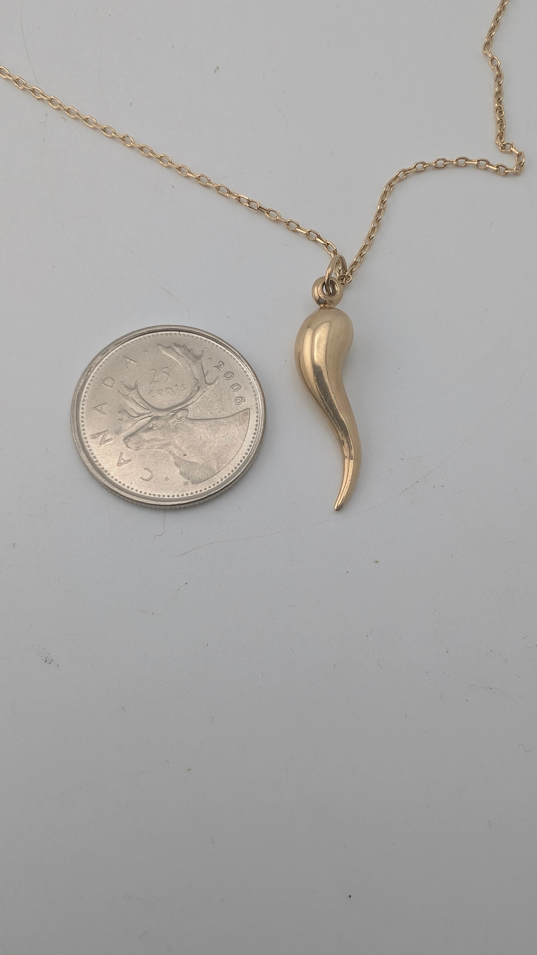 10K Yellow Gold Italian Horn Pendant (Cornicello)