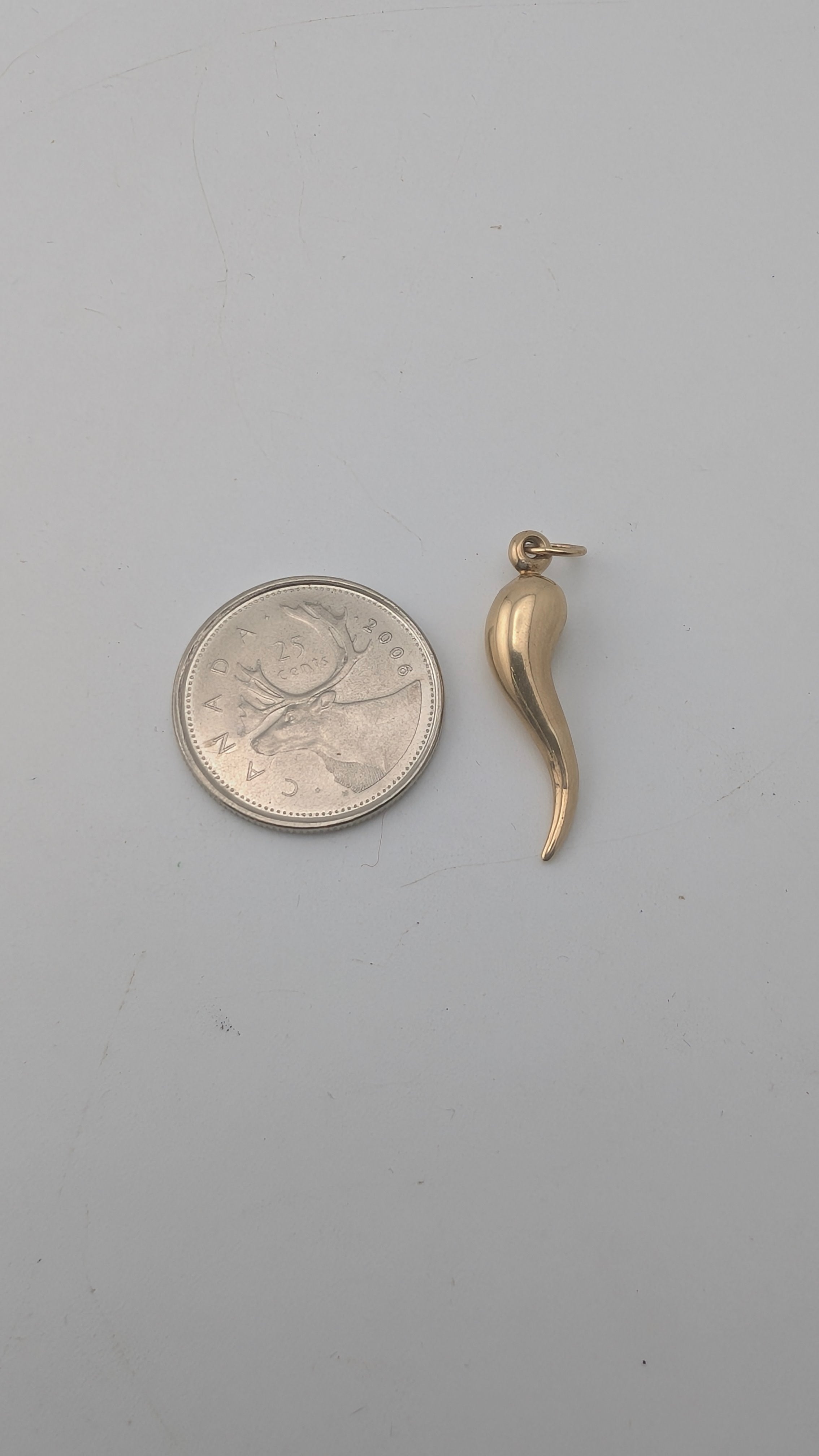 10K Yellow Gold Italian Horn Pendant (Cornicello)